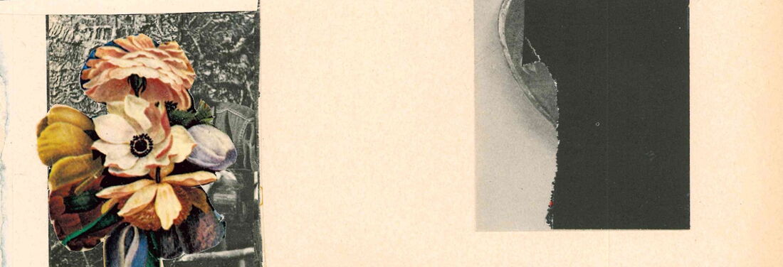 A collage image showing flowers on the left side and a torn black section on the right side.