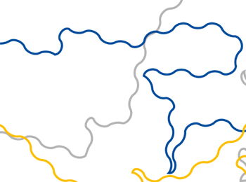 Black, blue, grey, and yellow winding lines trace different outlines of Ukraine (detail).