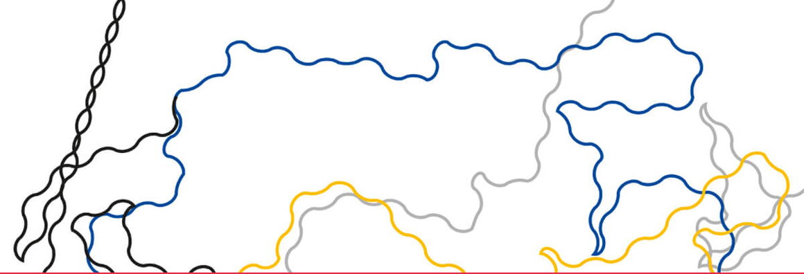 Schwarze, blaue, graue und gelbe gewundene Linien zeichnen verschiedene Umrisse der Ukraine nach.