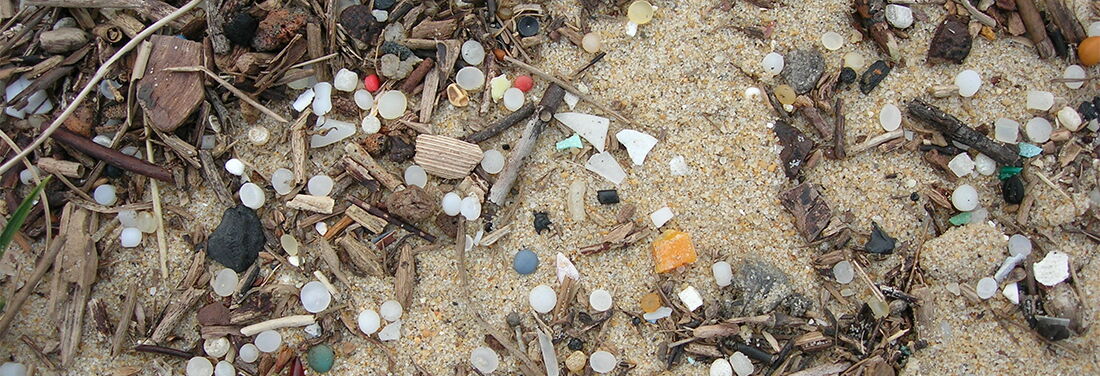 Sandstrand, auf dem Treibgut und Gehölz und verschiedenfarbige Plastikgranulate zu sehen sind.
