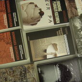 Bücher zum Thema Georgien liegen auf einem Tisch und sind von oben zu sehen.