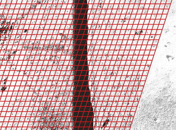 Abstract black-and-white image with red grids and lines over textured surfaces.