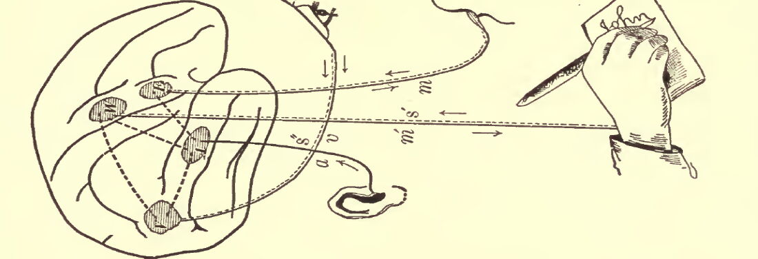A drawing entitled “The entire brain, more or less, is at work in a man who uses language“ by William James. On the right of the picture: a hand writing the word “John” on a paper. From the left of the picture, various abstract lines lead to the hand.