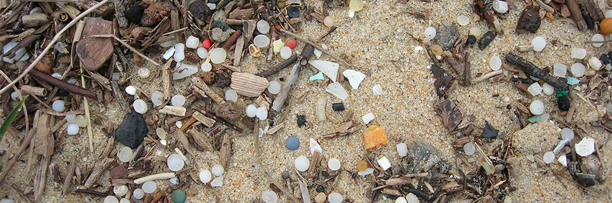 Sandstrand, auf dem Treibgut und Gehölz und verschiedenfarbige Plastikgranulate zu sehen sind.