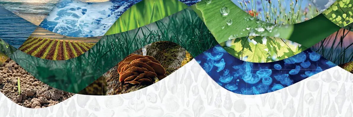 A collage featuring nature scenes of fields, water, leaves, raindrops, and mushrooms.