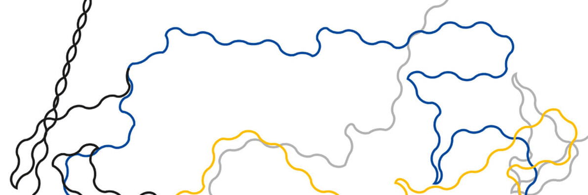 Schwarze, blaue, graue und gelbe gewundene Linien zeichnen verschiedene Umrisse der Ukraine nach.