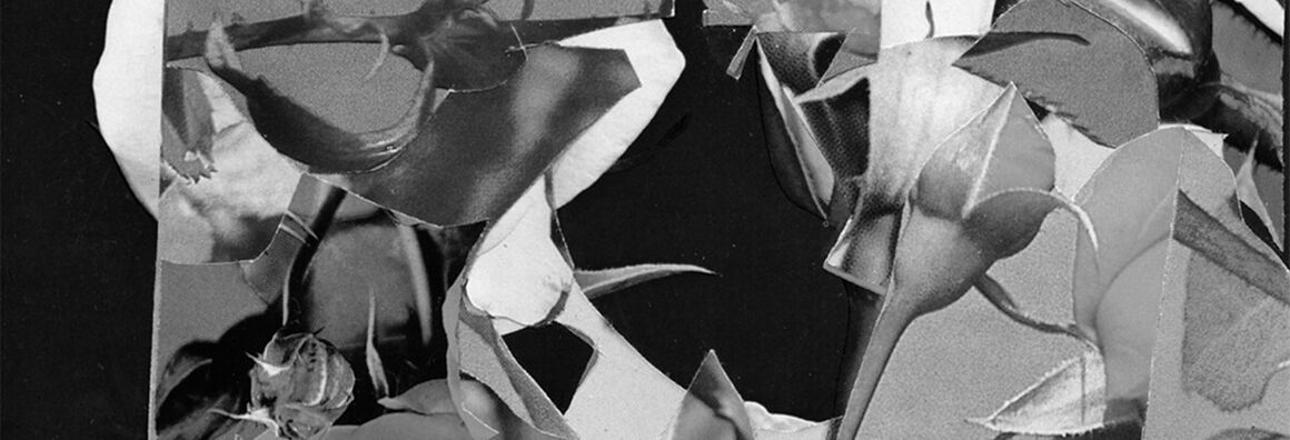 Very abstract black and white photo. Cut out angular shapes, some reminiscent of leaves, others of strange paper. In the middle, a black, gaping opening.