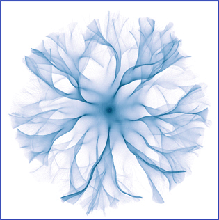 files/zfl/fotos/projekte/synergie-technik-glaube/synergie-steiner.jpg